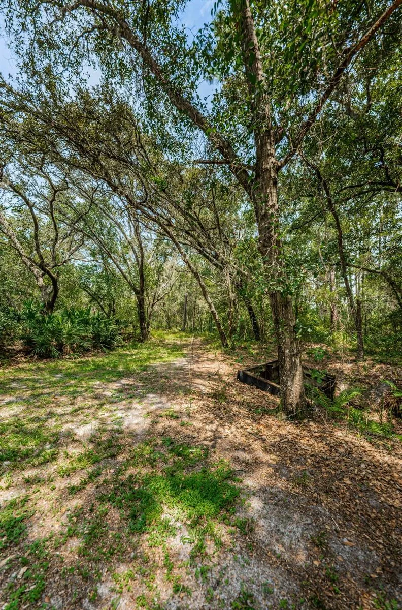 COQUI COURT Odessa, FL 33556