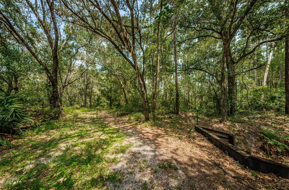 COQUI COURT Odessa, FL 33556