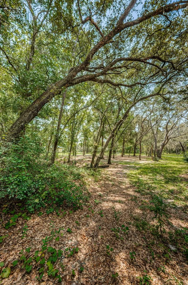 COQUI COURT Odessa, FL 33556