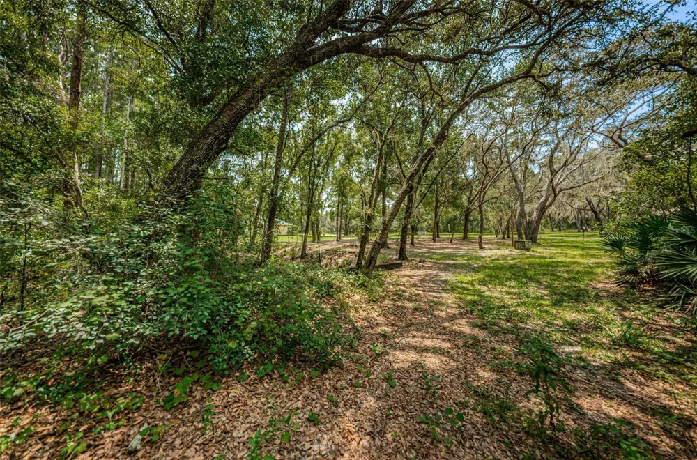 COQUI COURT Odessa, FL 33556