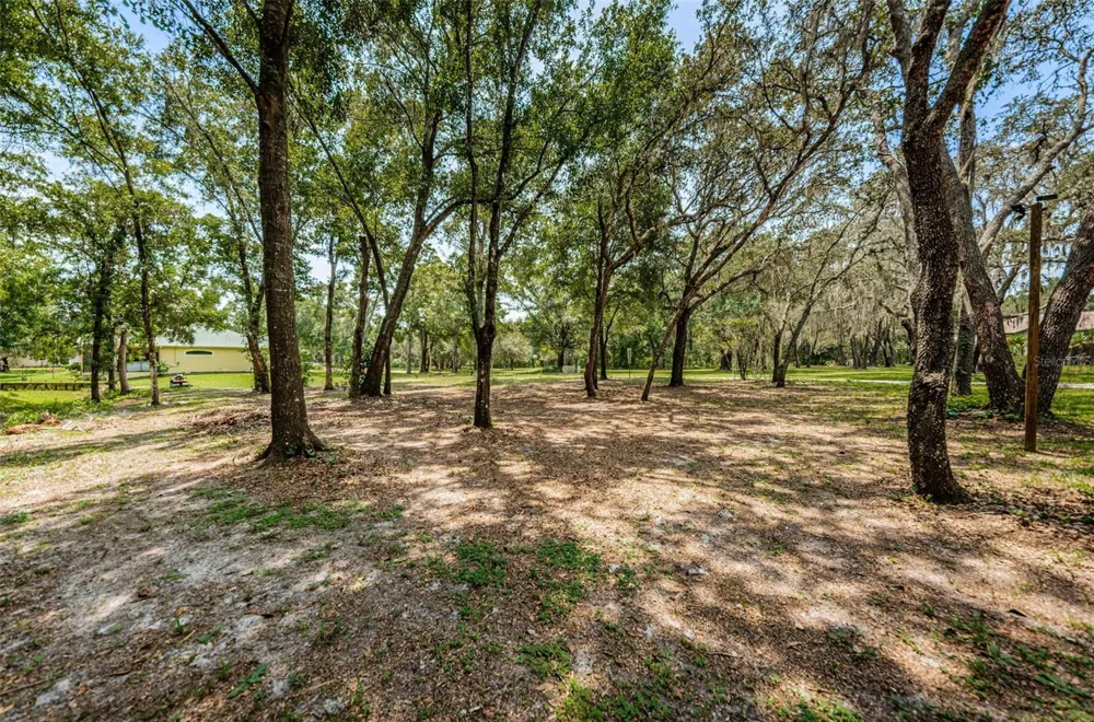 COQUI COURT Odessa, FL 33556