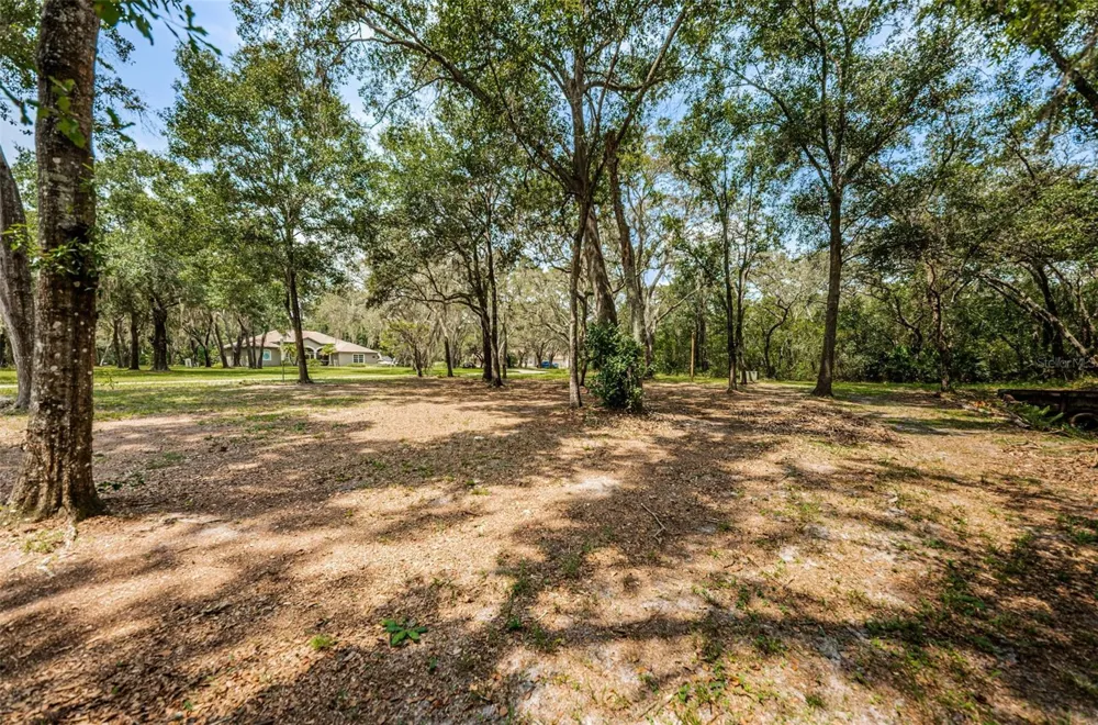 COQUI COURT Odessa, FL 33556