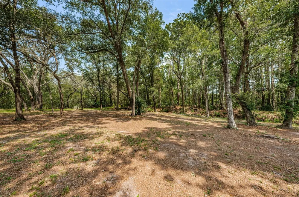 COQUI COURT Odessa, FL 33556