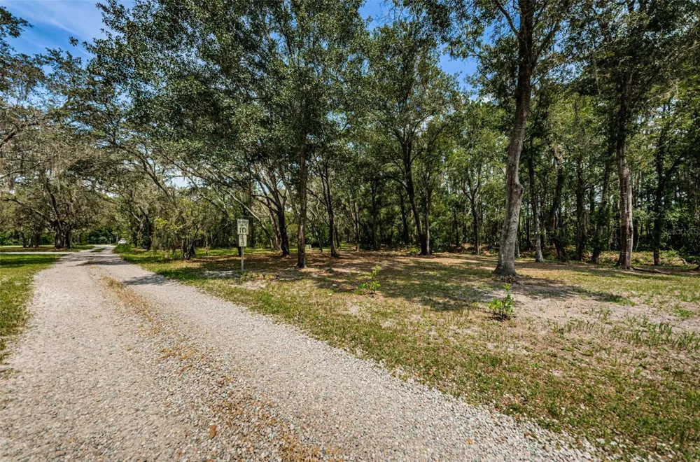 COQUI COURT Odessa, FL 33556