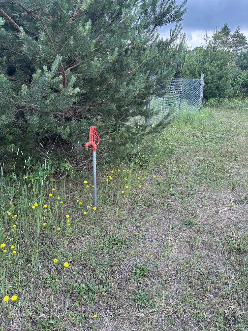 1426 SE Riley Road Kalkaska Township, MI 49646