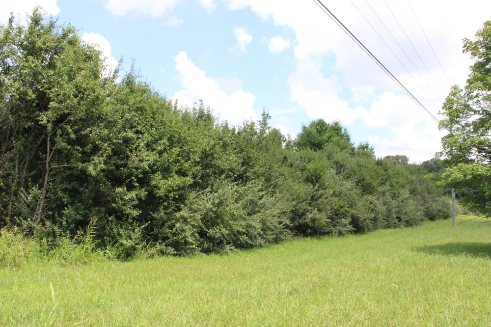 0 Manchester Hwy Morrison, TN 37357