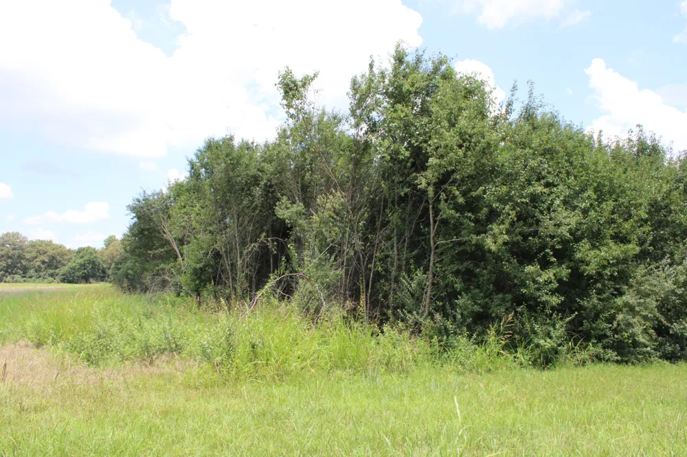 0 Manchester Hwy Morrison, TN 37357