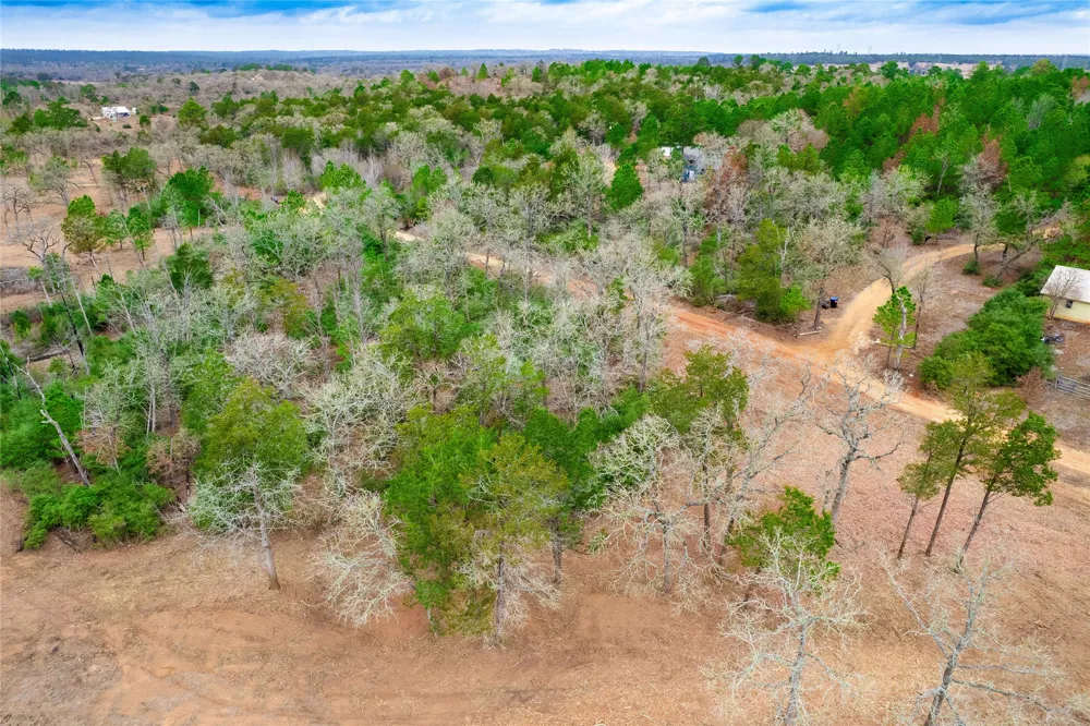 123 Abbey Lane Smithville, TX 78957
