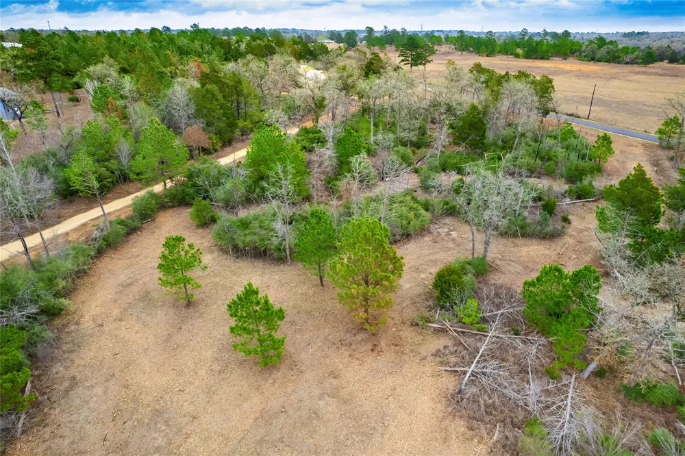 123 Abbey Lane Smithville, TX 78957