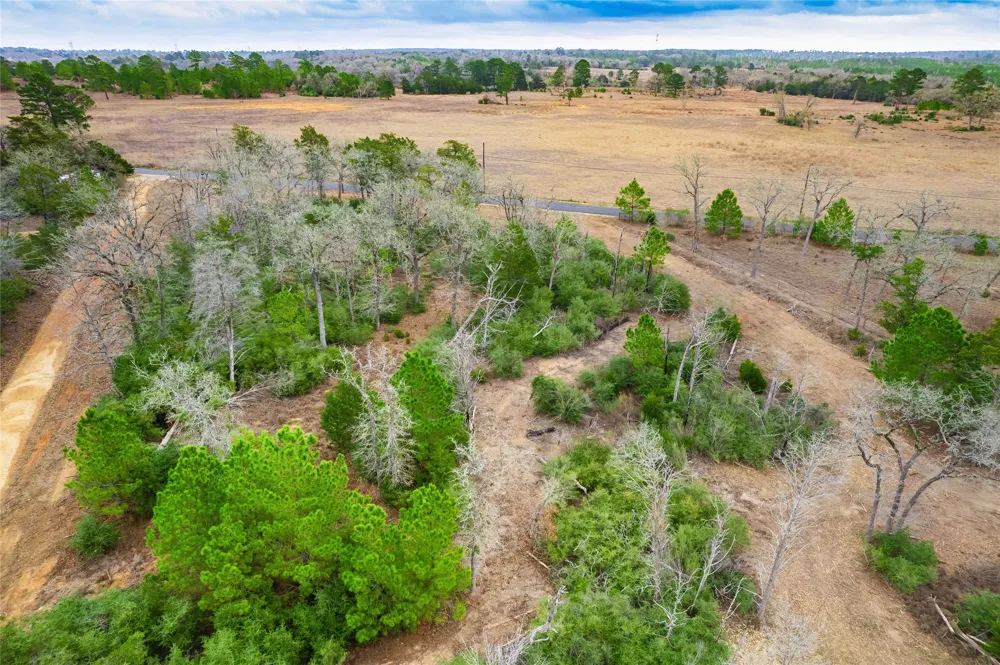 123 Abbey Lane Smithville, TX 78957