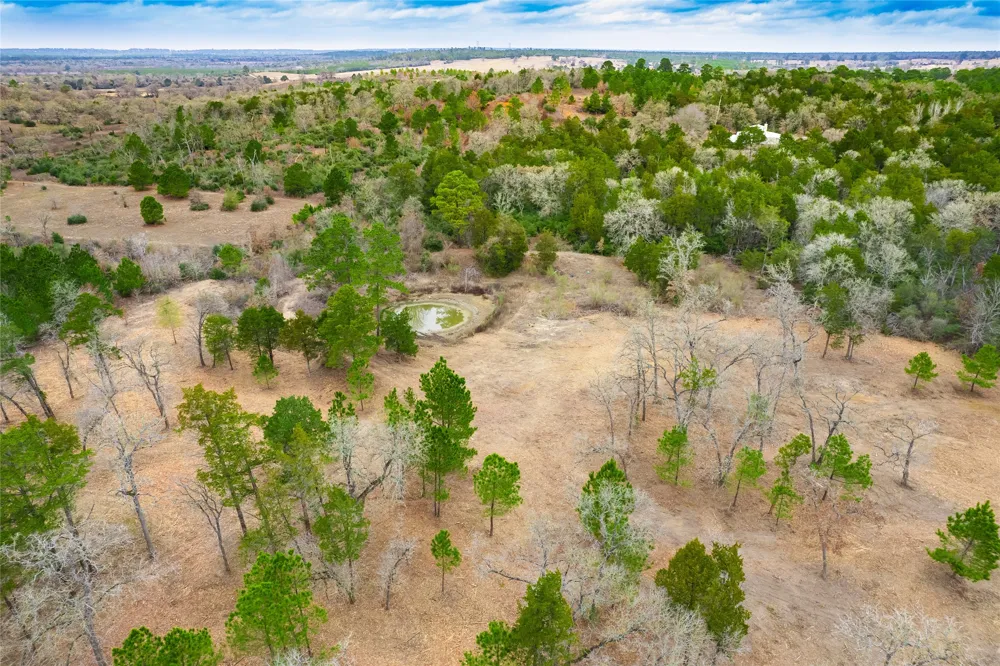 123 Abbey Lane Smithville, TX 78957