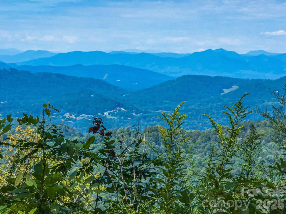 632 Justus Case Mountain Place Hendersonville, NC 28792