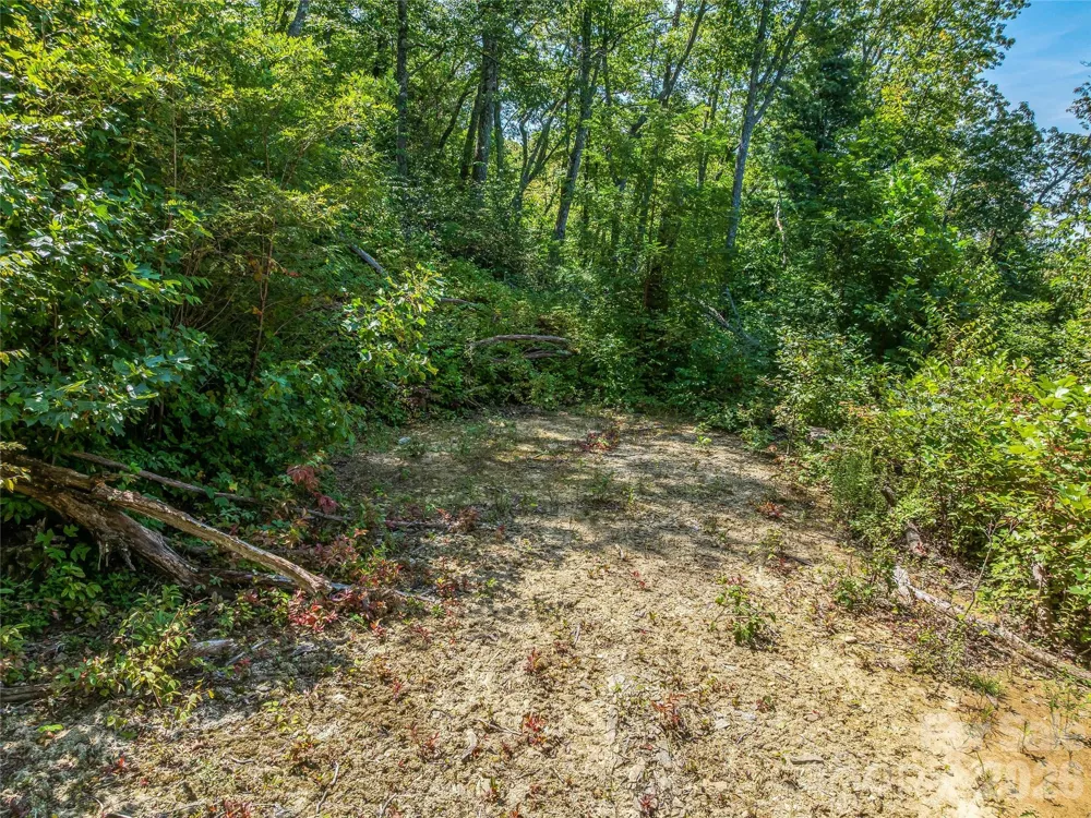 632 Justus Case Mountain Place Hendersonville, NC 28792
