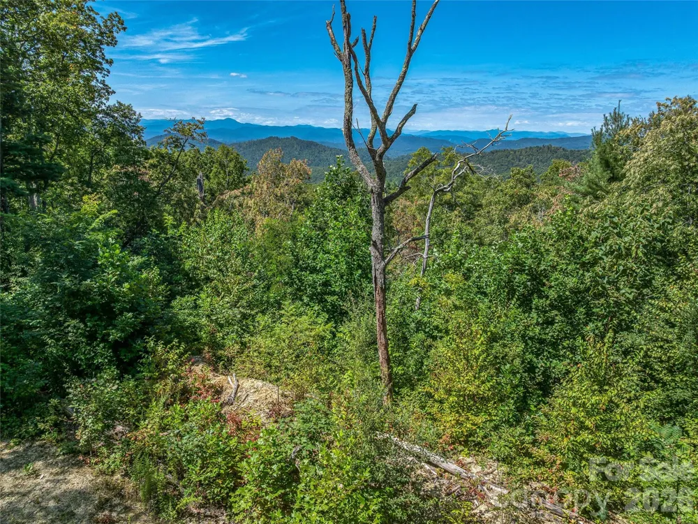 632 Justus Case Mountain Place Hendersonville, NC 28792