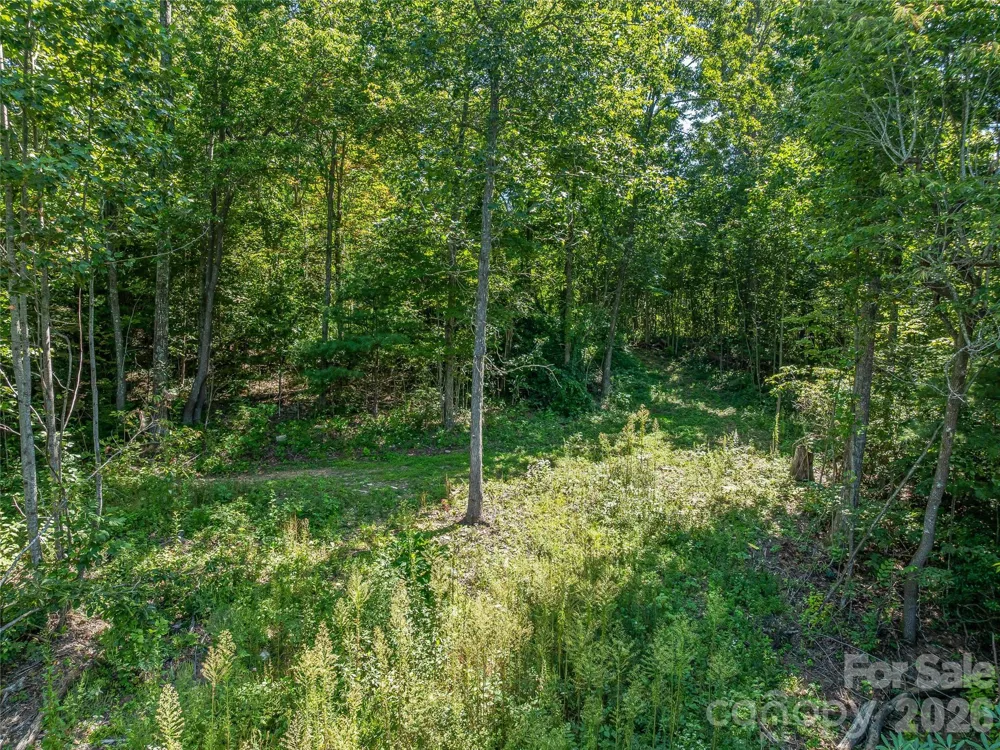 632 Justus Case Mountain Place Hendersonville, NC 28792