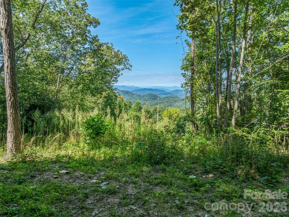 632 Justus Case Mountain Place Hendersonville, NC 28792