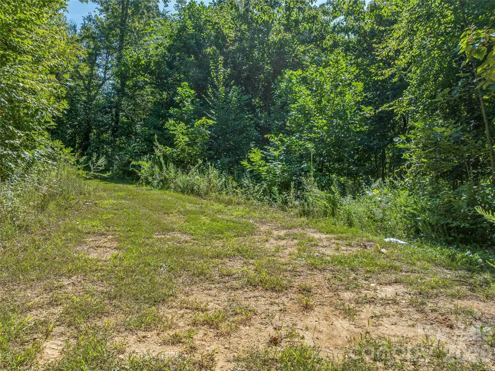 632 Justus Case Mountain Place Hendersonville, NC 28792
