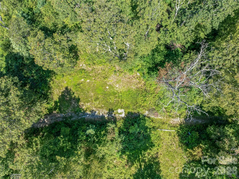 632 Justus Case Mountain Place Hendersonville, NC 28792