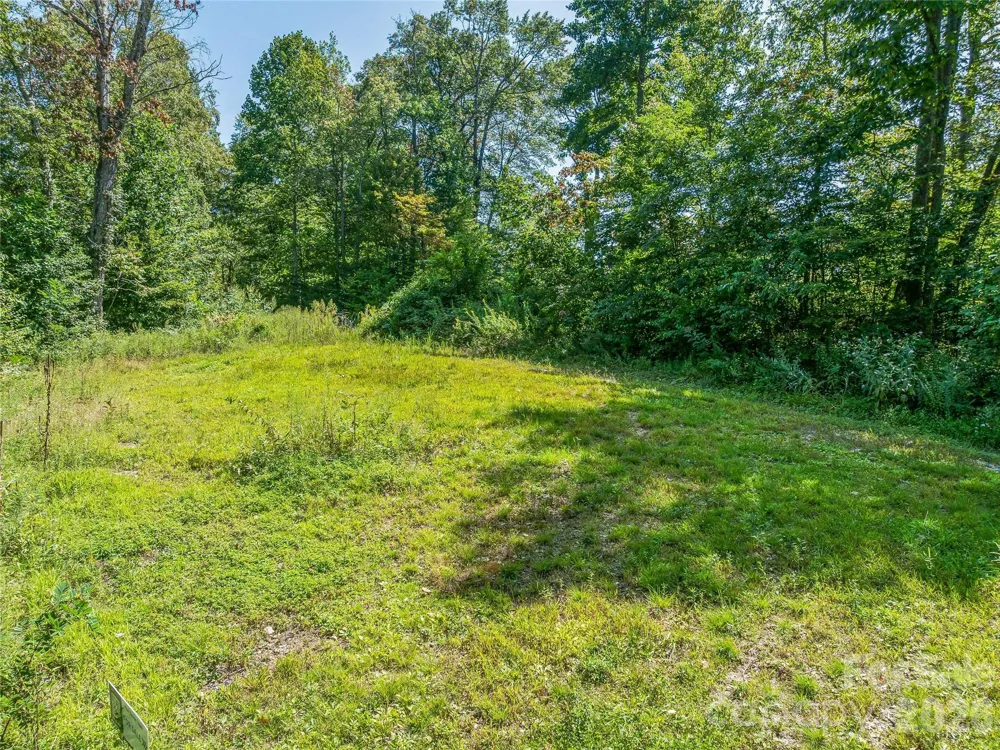 632 Justus Case Mountain Place Hendersonville, NC 28792