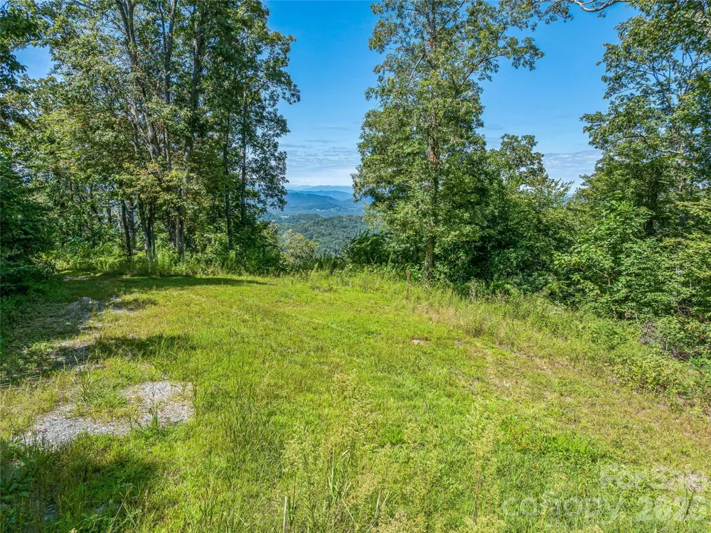 632 Justus Case Mountain Place Hendersonville, NC 28792