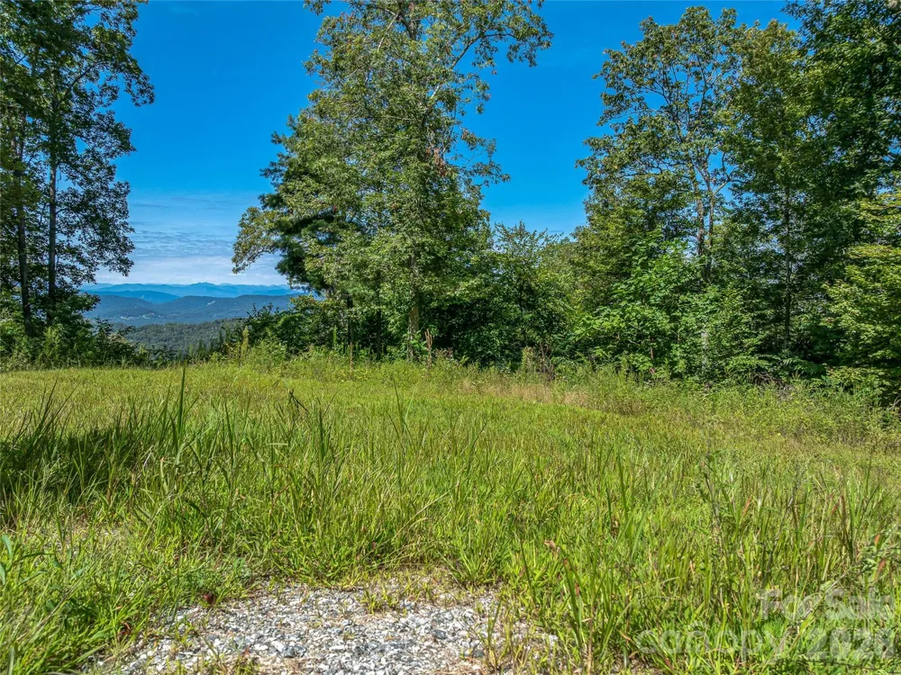 632 Justus Case Mountain Place Hendersonville, NC 28792