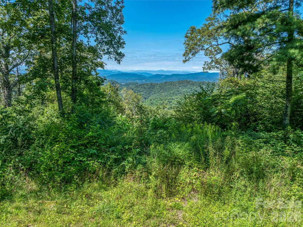 632 Justus Case Mountain Place Hendersonville, NC 28792