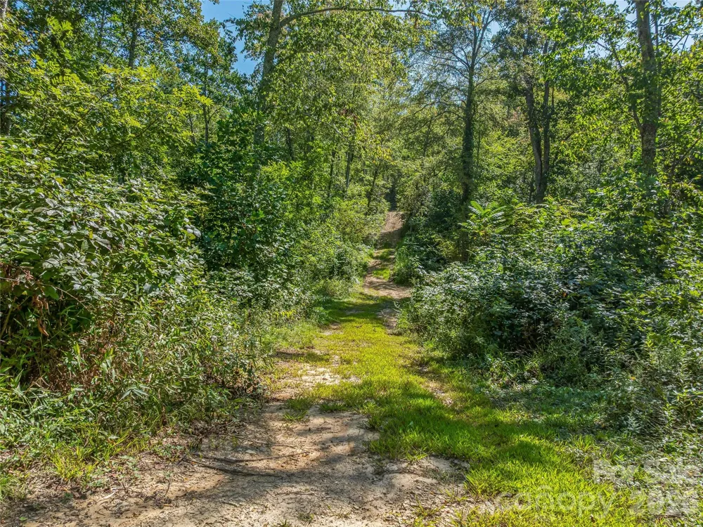 632 Justus Case Mountain Place Hendersonville, NC 28792