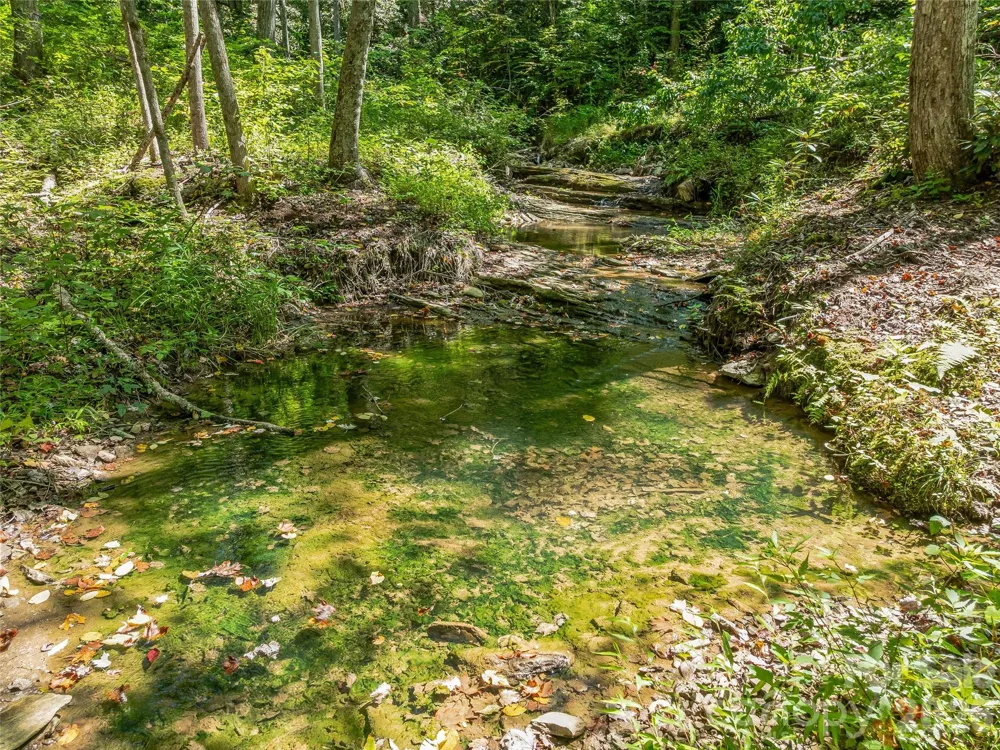 632 Justus Case Mountain Place Hendersonville, NC 28792