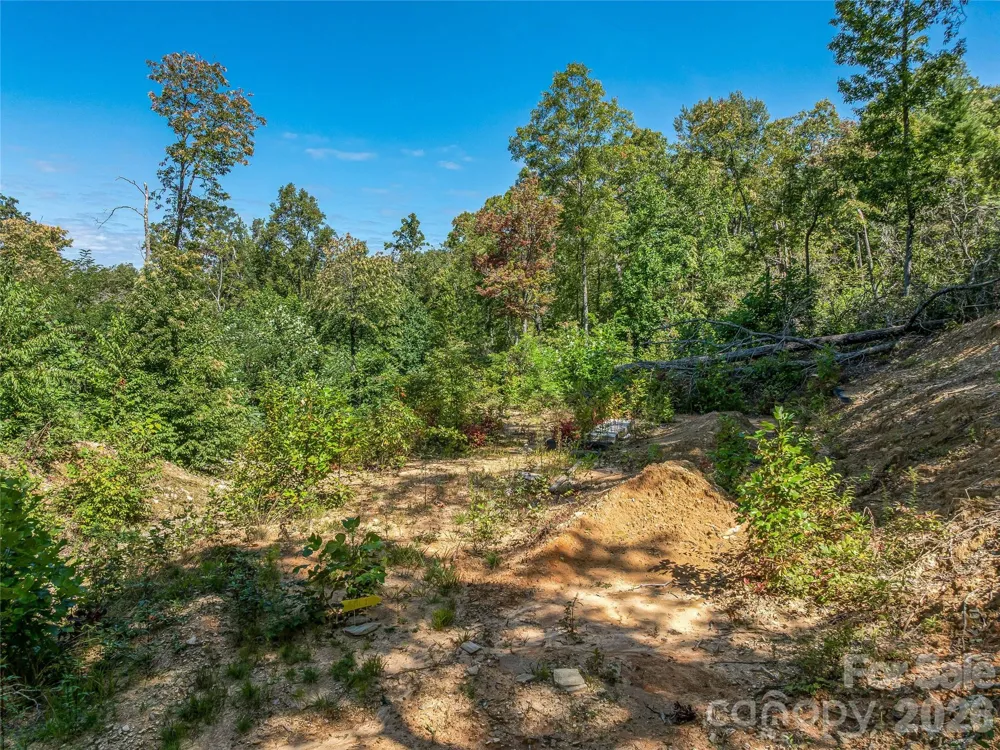 632 Justus Case Mountain Place Hendersonville, NC 28792