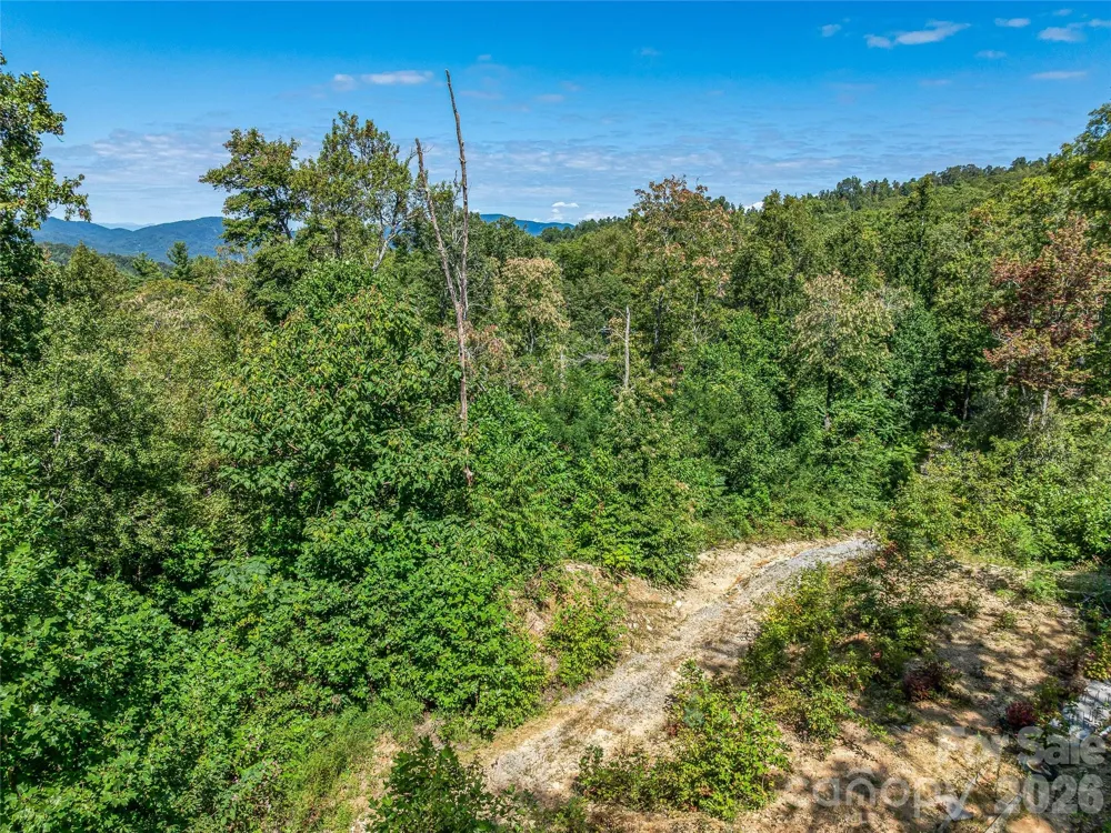 632 Justus Case Mountain Place Hendersonville, NC 28792