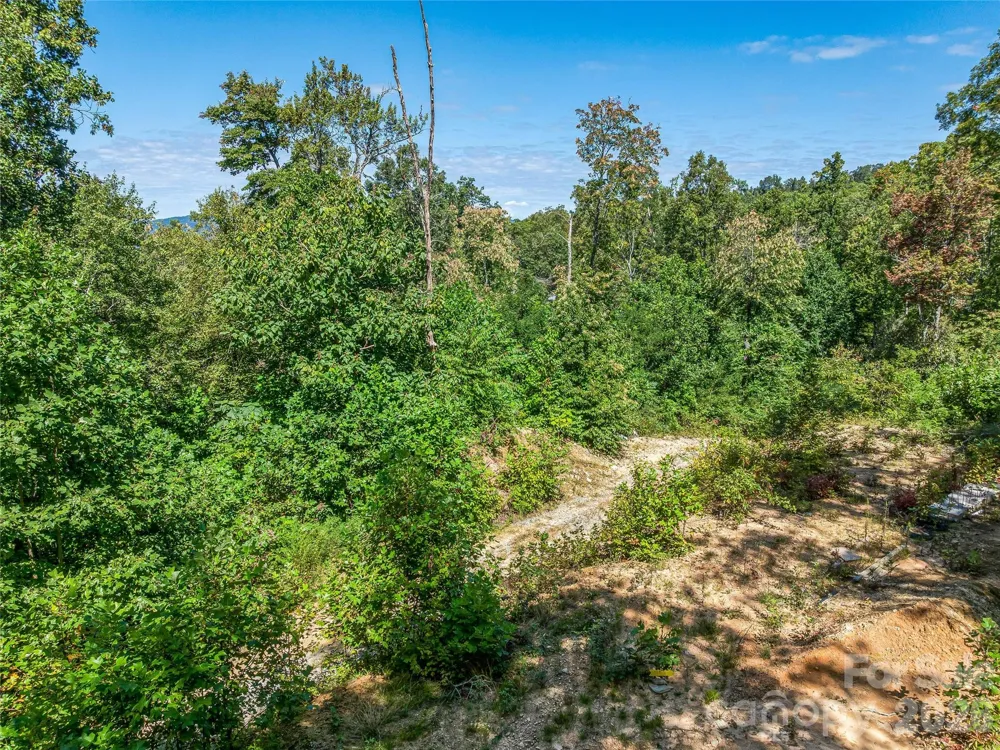 632 Justus Case Mountain Place Hendersonville, NC 28792