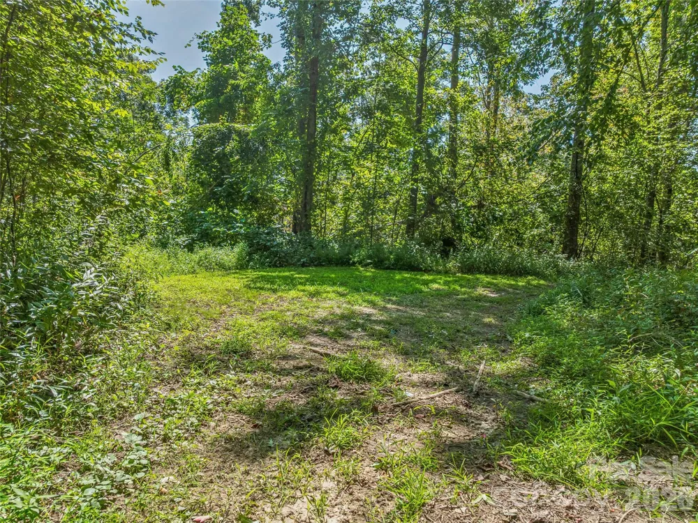 632 Justus Case Mountain Place Hendersonville, NC 28792