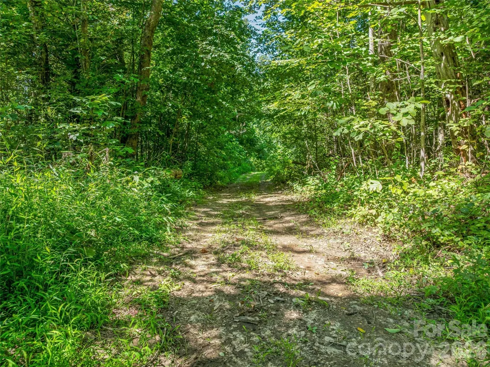 632 Justus Case Mountain Place Hendersonville, NC 28792