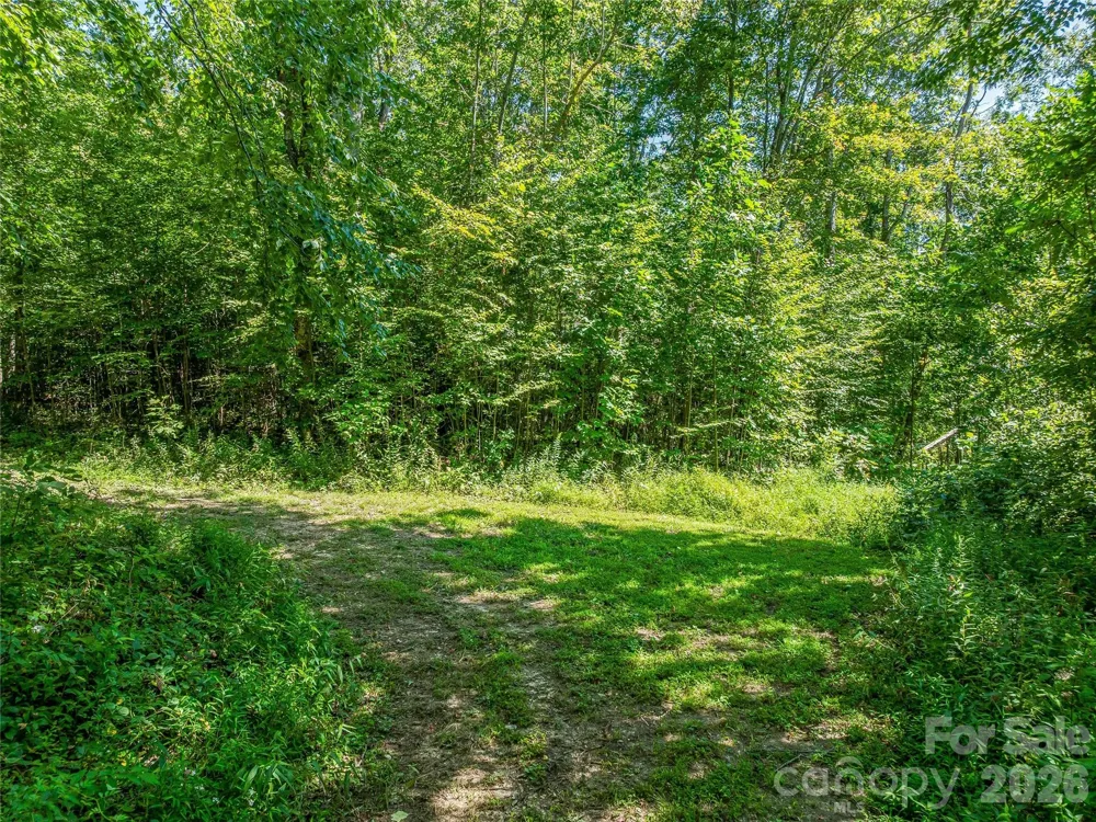 632 Justus Case Mountain Place Hendersonville, NC 28792