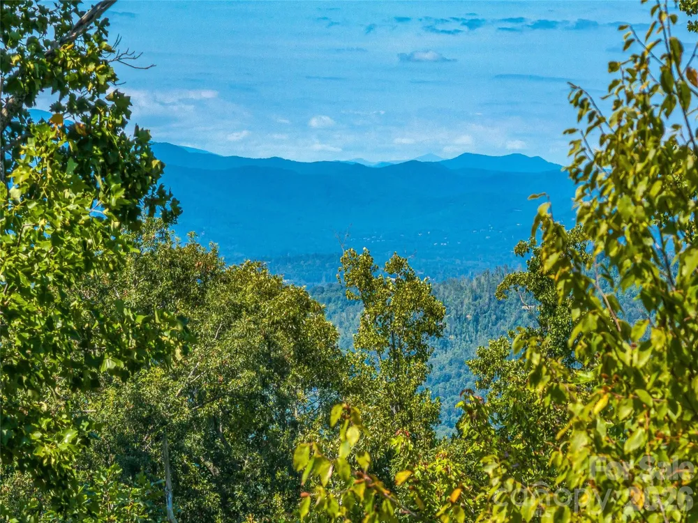 632 Justus Case Mountain Place Hendersonville, NC 28792