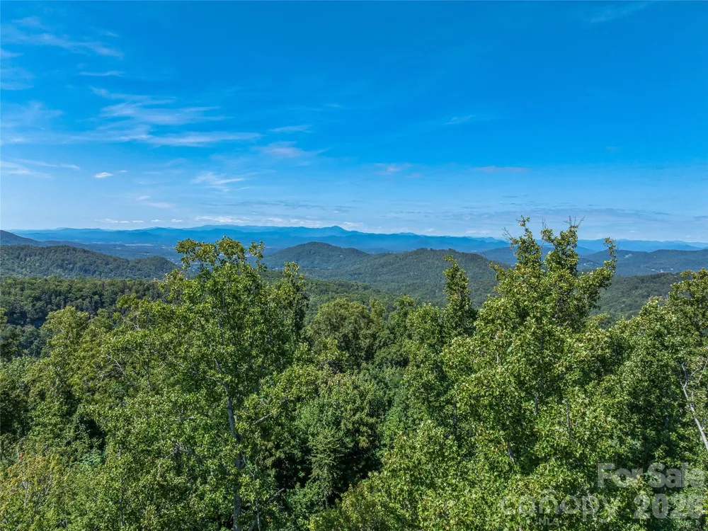 632 Justus Case Mountain Place Hendersonville, NC 28792