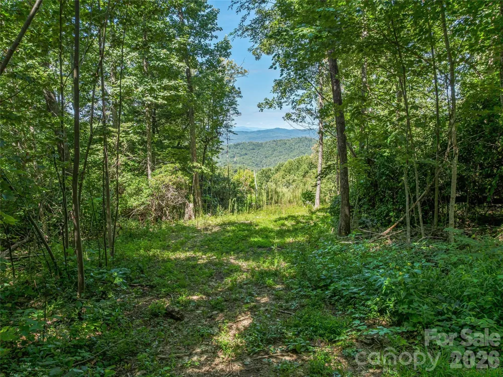 632 Justus Case Mountain Place Hendersonville, NC 28792