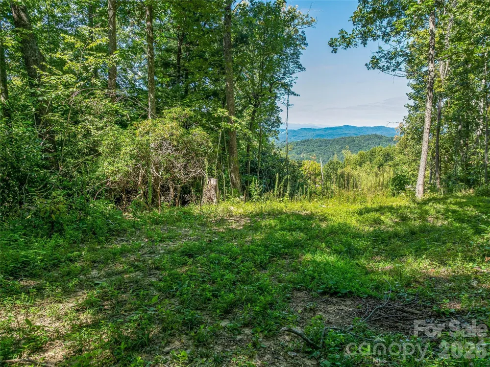 632 Justus Case Mountain Place Hendersonville, NC 28792
