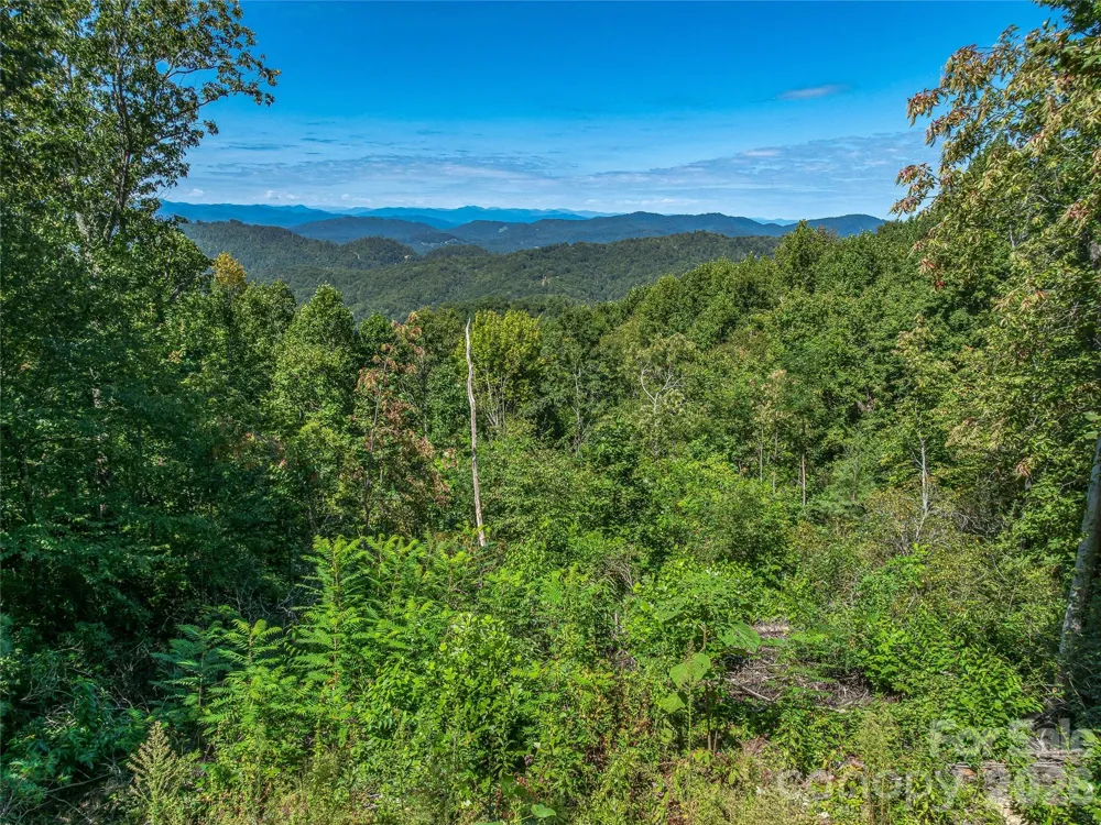 632 Justus Case Mountain Place Hendersonville, NC 28792