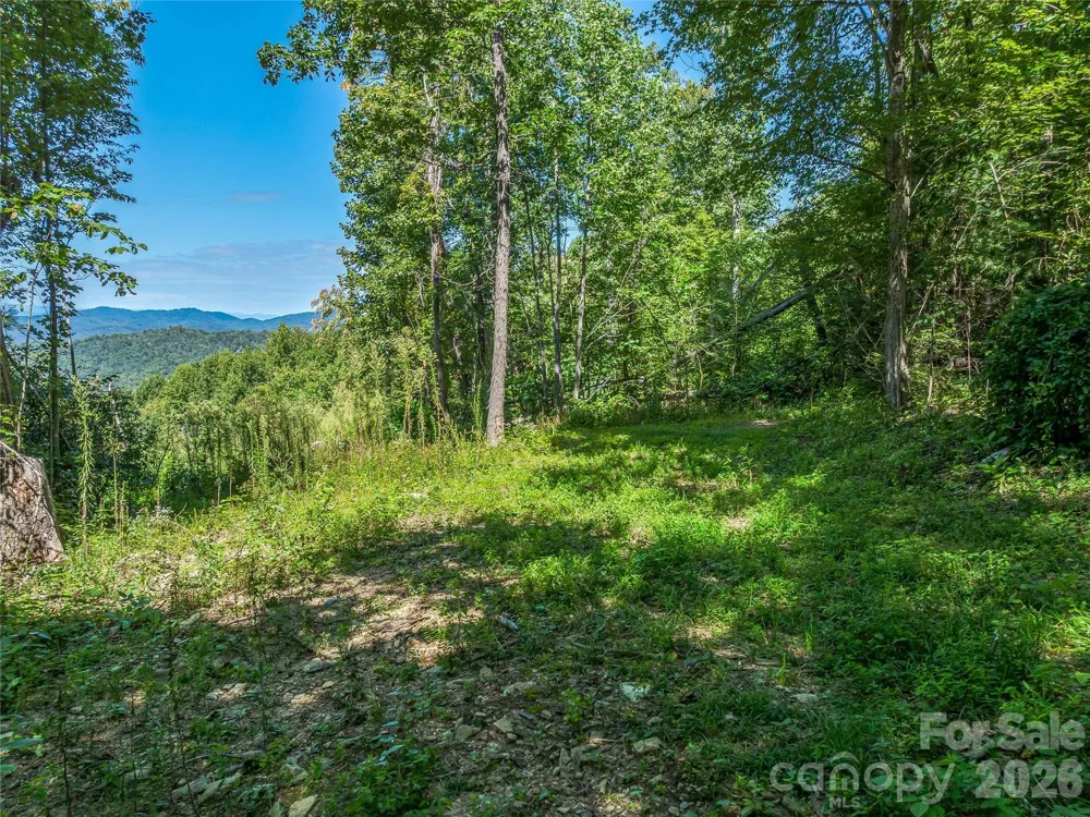632 Justus Case Mountain Place Hendersonville, NC 28792