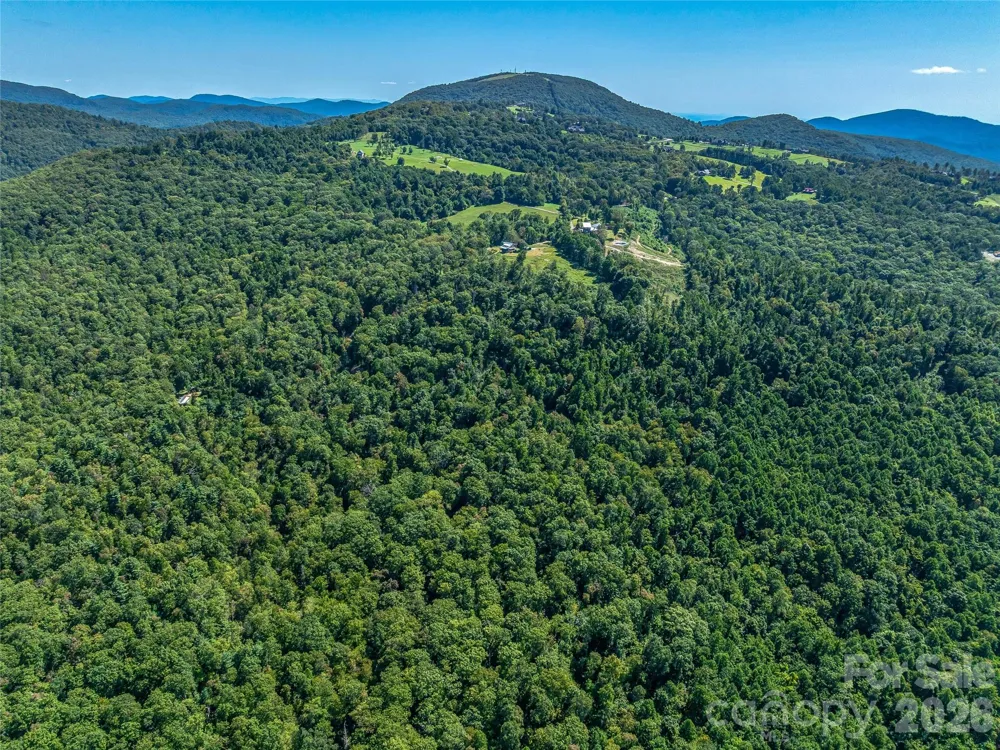 632 Justus Case Mountain Place Hendersonville, NC 28792