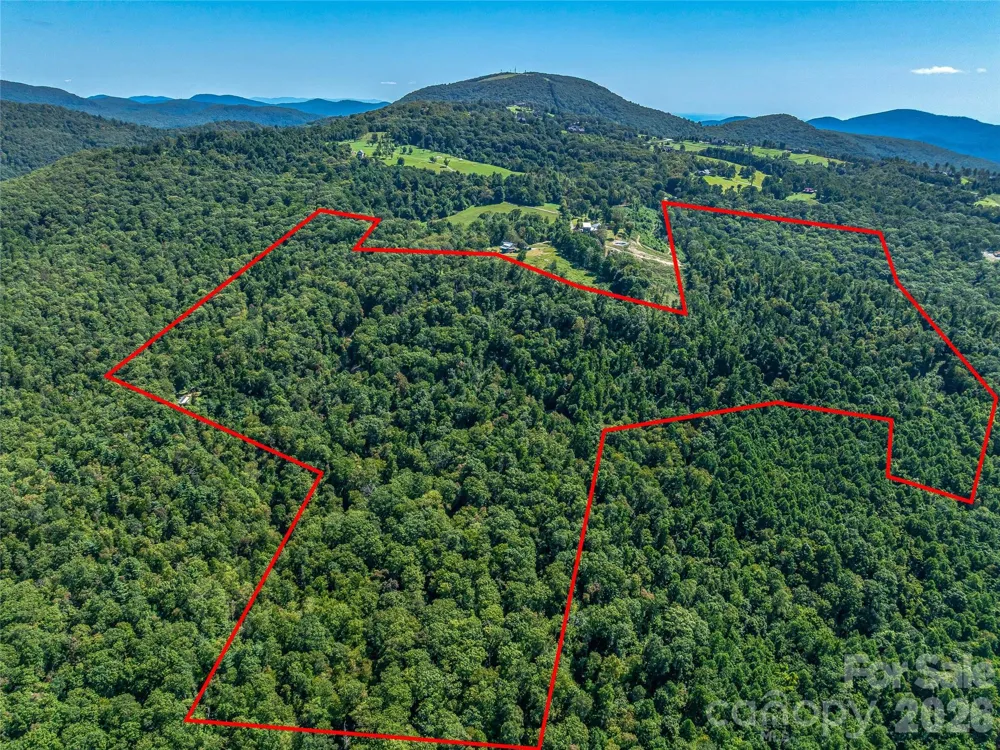 632 Justus Case Mountain Place Hendersonville, NC 28792