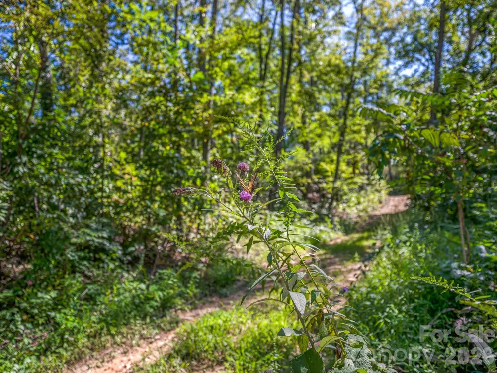 632 Justus Case Mountain Place Hendersonville, NC 28792