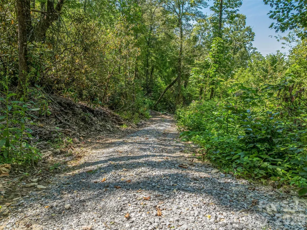 632 Justus Case Mountain Place Hendersonville, NC 28792
