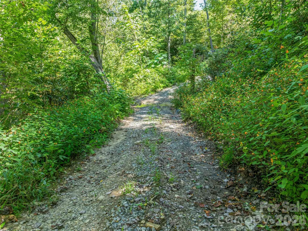 632 Justus Case Mountain Place Hendersonville, NC 28792