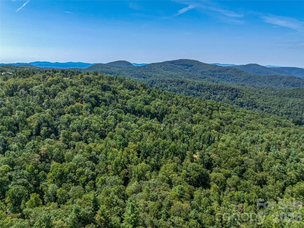 632 Justus Case Mountain Place Hendersonville, NC 28792