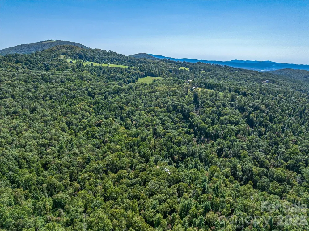 632 Justus Case Mountain Place Hendersonville, NC 28792