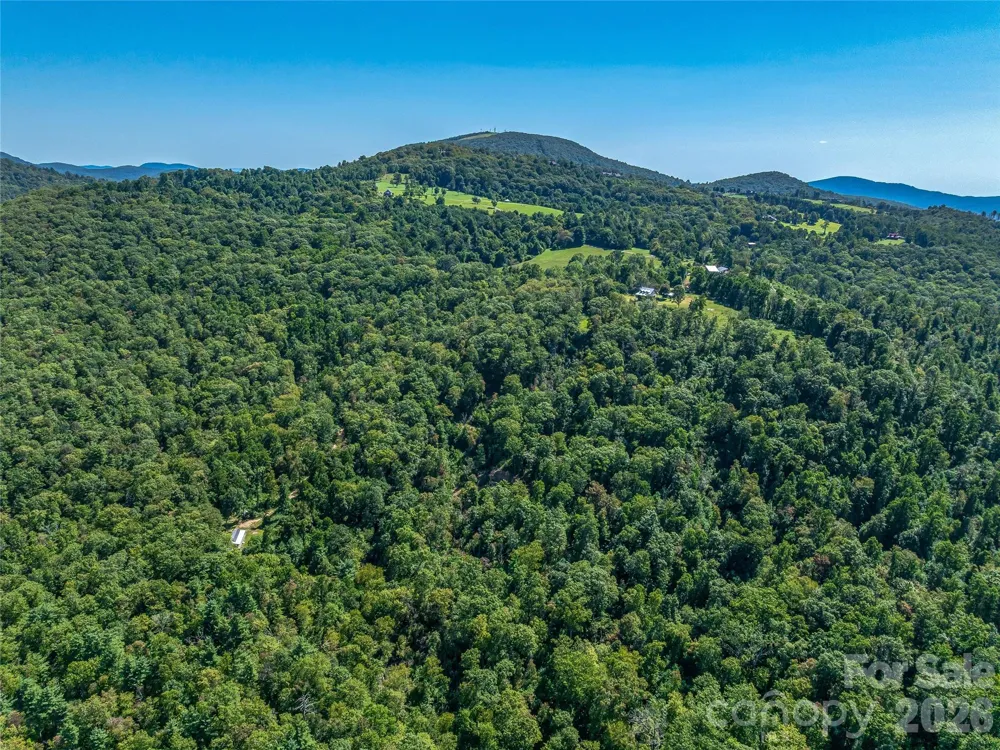 632 Justus Case Mountain Place Hendersonville, NC 28792