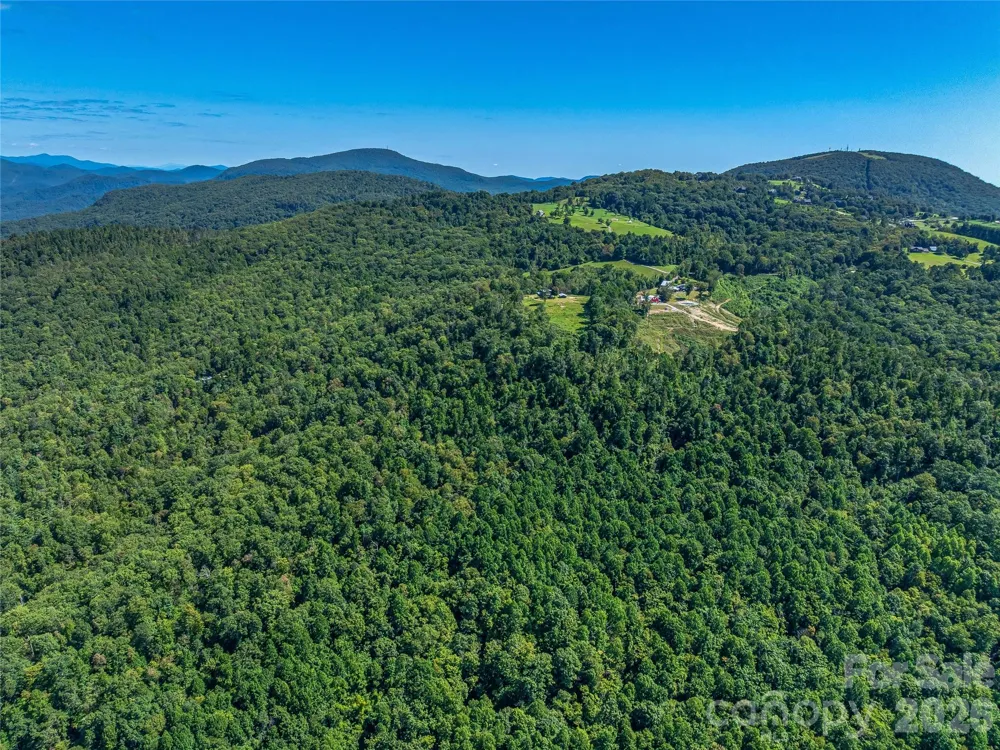 632 Justus Case Mountain Place Hendersonville, NC 28792