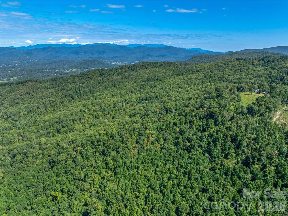 632 Justus Case Mountain Place Hendersonville, NC 28792